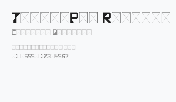 TechnoPro Regular Business Card