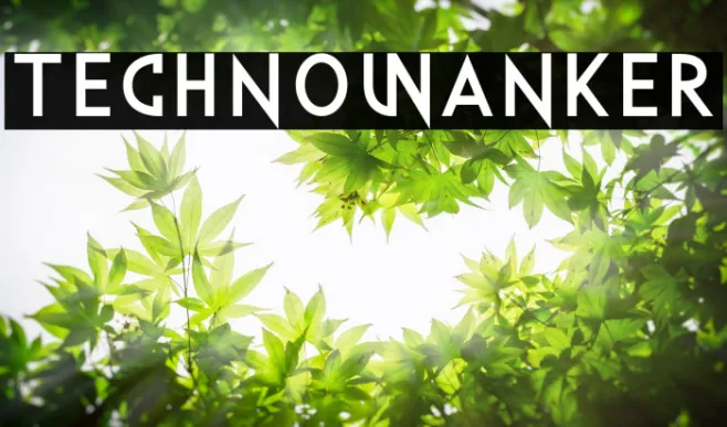 TechnoWanker Example 1