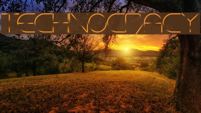 Technocracy Example 1