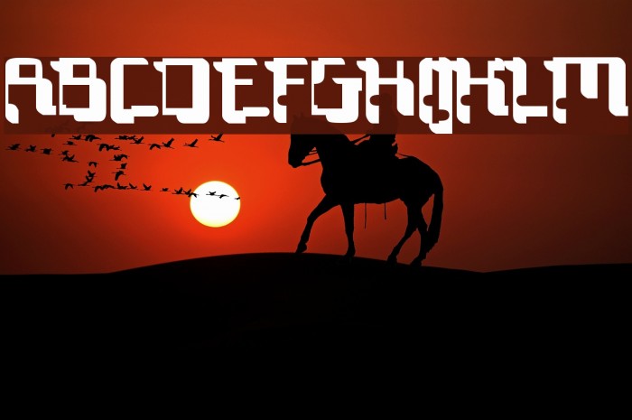 Technocrat Example 3