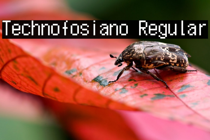 Technofosiano Regular Example 1