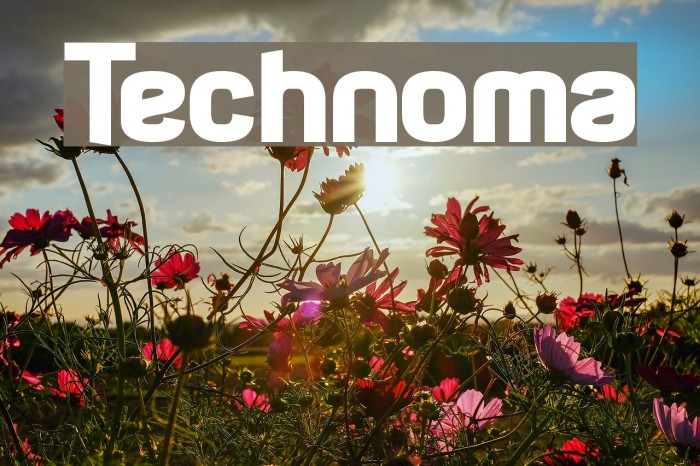 Technoma Font examples