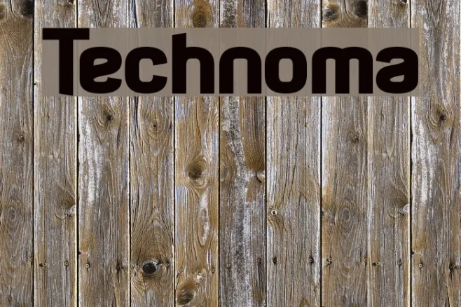 Technoma Example 3