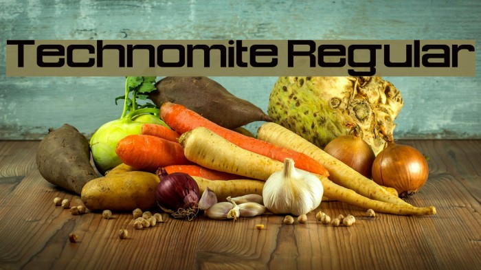 Technomite Regular Font examples