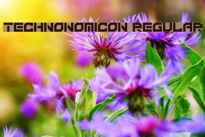 Technonomicon Regular Font examples