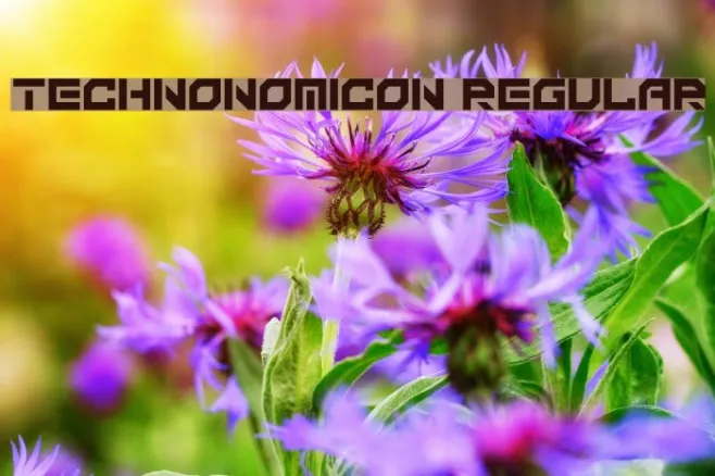 Technonomicon Regular Example 1