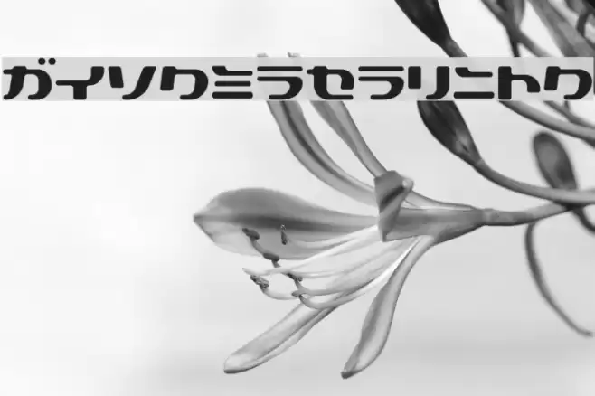 Technopolish Font examples