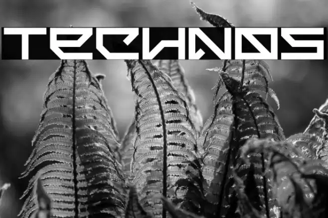 Technos Font examples