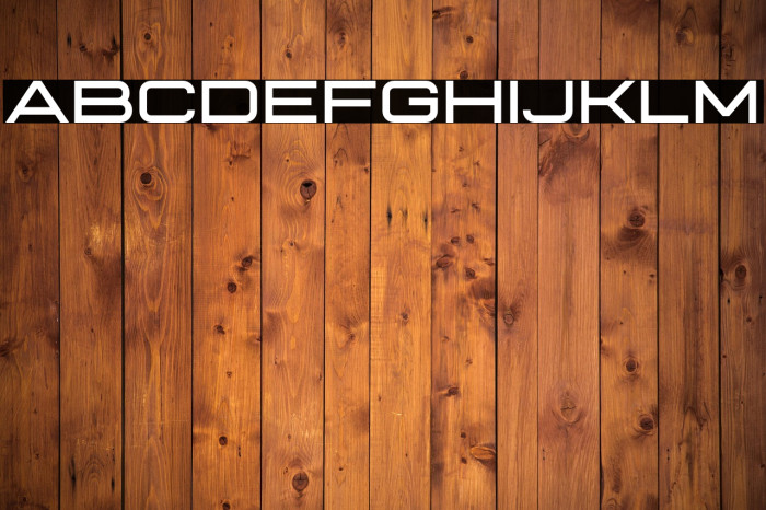 Technovier Bold Example 1