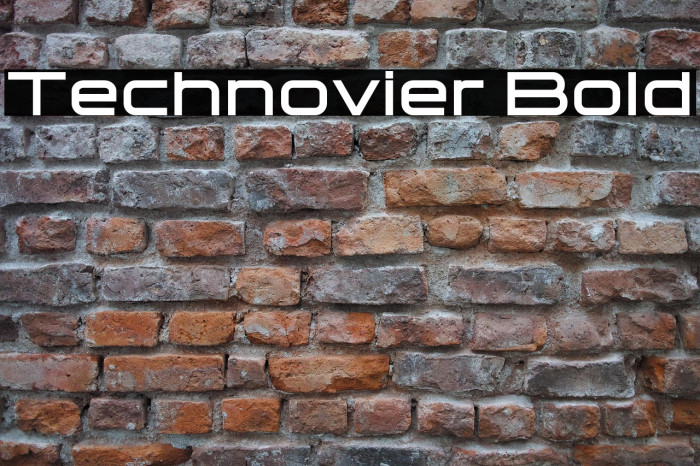 Technovier Bold Example 1