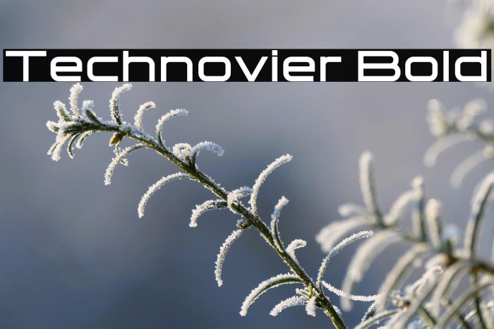 Technovier Bold Example 3