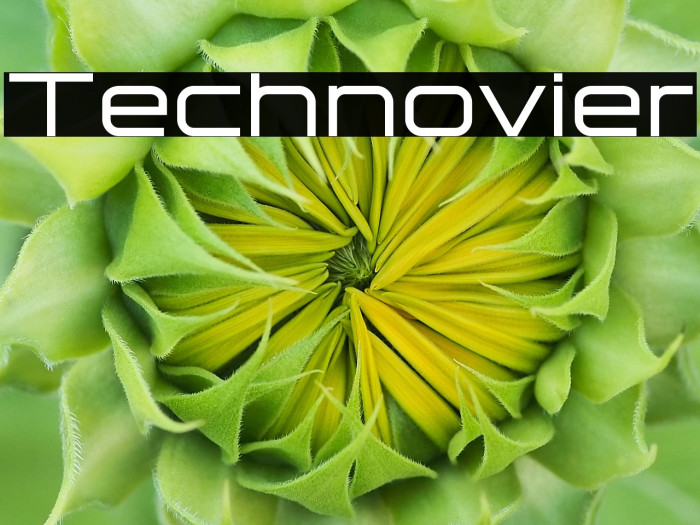 Technovier Example 3