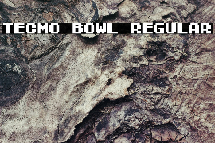 Tecmo Bowl Regular Example 2