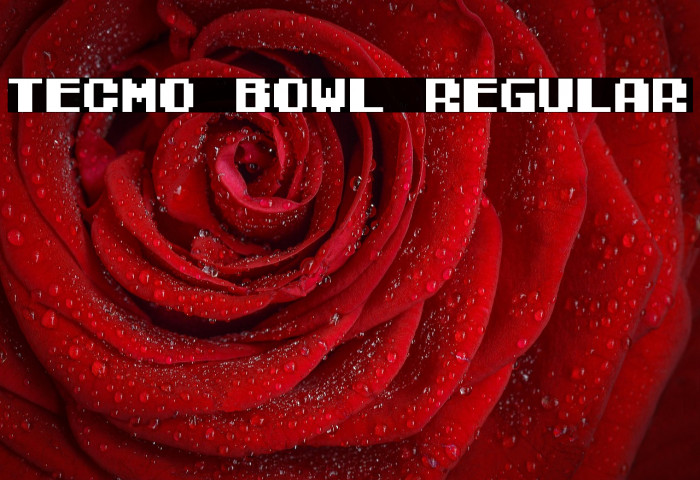 Tecmo Bowl Regular Example 3