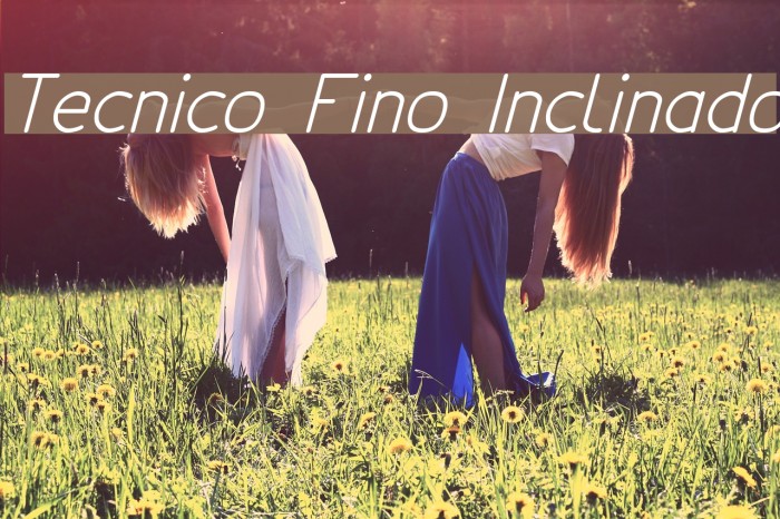 Tecnico Fino Inclinado Font examples