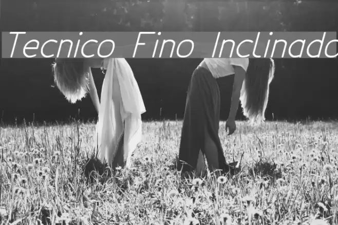 Tecnico Fino Inclinado Font examples