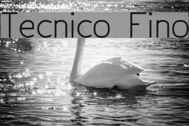 Tecnico Fino Polices examples