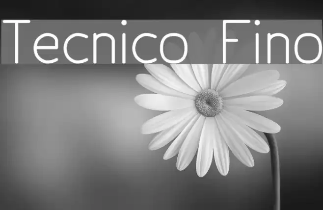 Tecnico Fino Polices examples