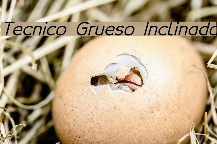 Tecnico Grueso Inclinado Font examples