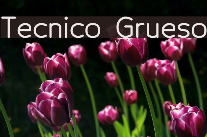 Tecnico Grueso Font examples