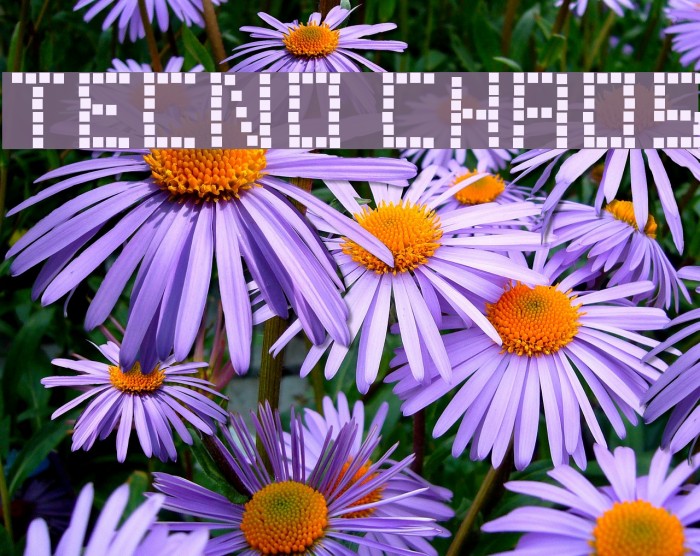 Tecno Chaos Example 2