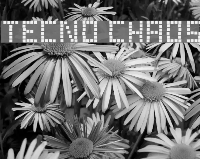 Tecno Chaos Font examples