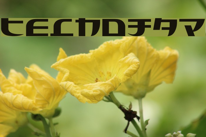 Tecnojap Font examples