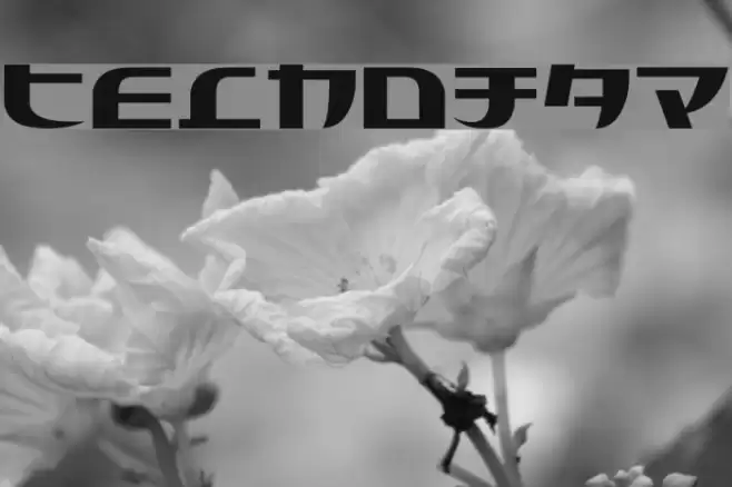 Tecnojap Schriftart examples
