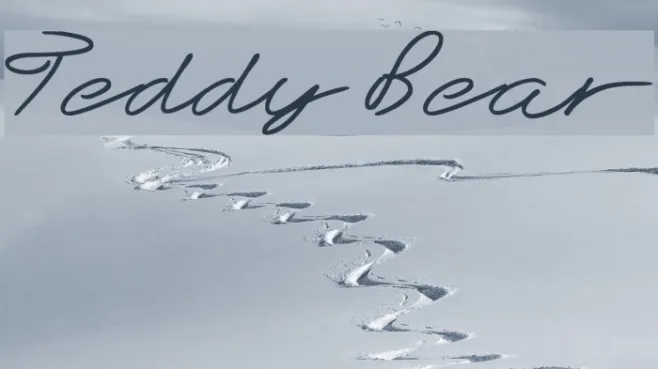 Teddy Bear Example 3