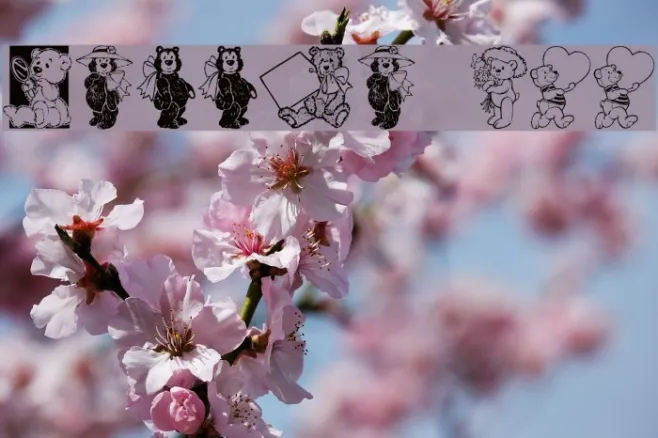 Teddyber V1.1 Example 3