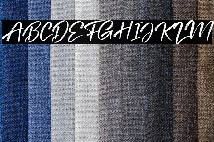 Tedy Brush Italic Example 3