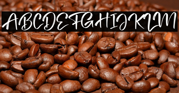 Tedy Brush Example 1