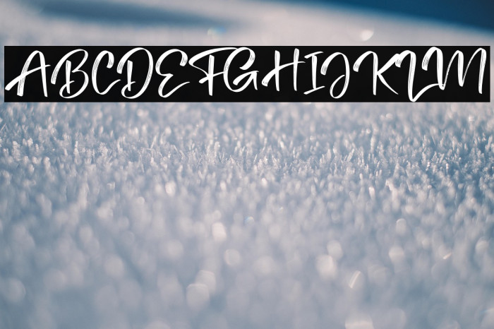 Tedy Brush Example 3