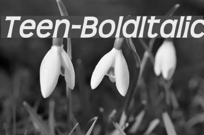 Teen-BoldItalic Font examples