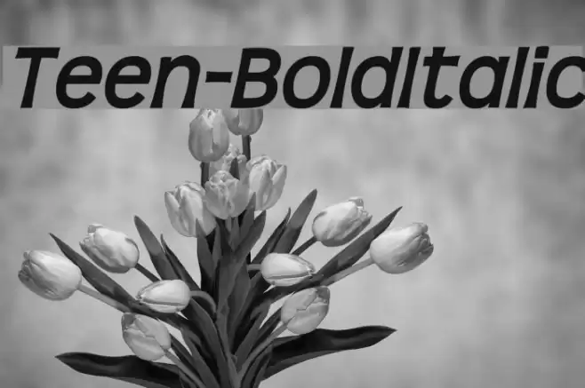 Teen-BoldItalic Font examples