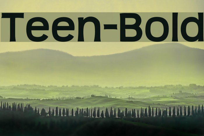 Teen-Bold Font examples