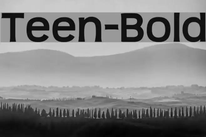 Teen-Bold フォント examples