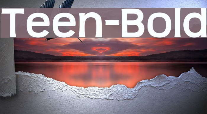 Teen-Bold Font examples