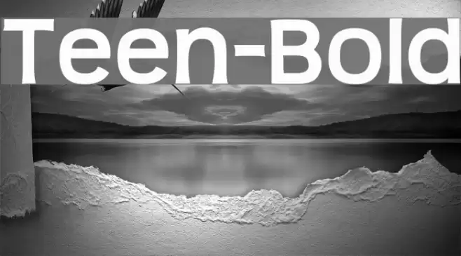 Teen-Bold フォント examples