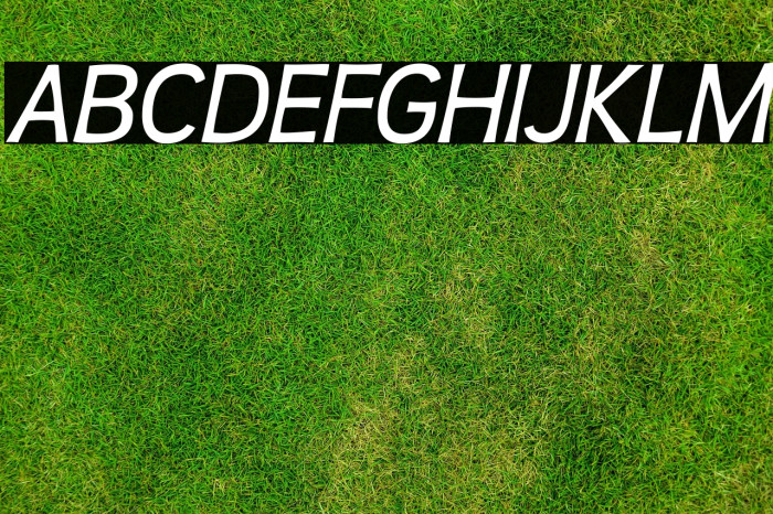 Teen-Italic Example 2