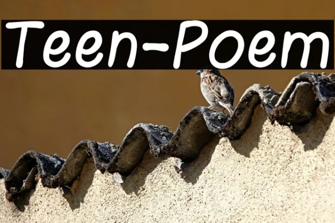 Teen-Poem Example 2