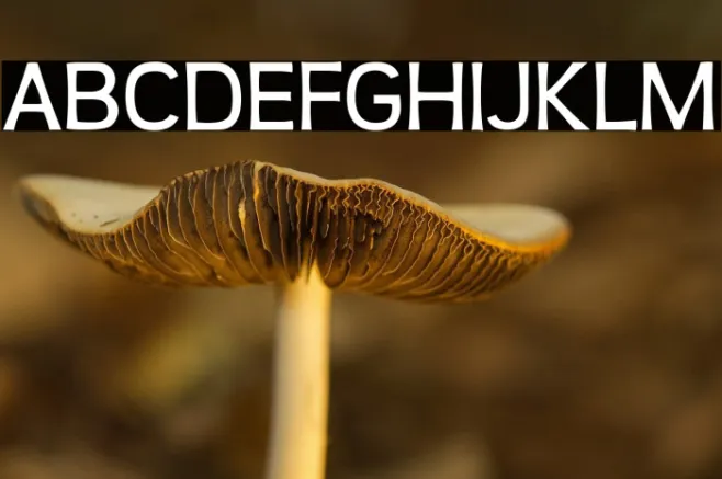 Teen-Regular Example 1