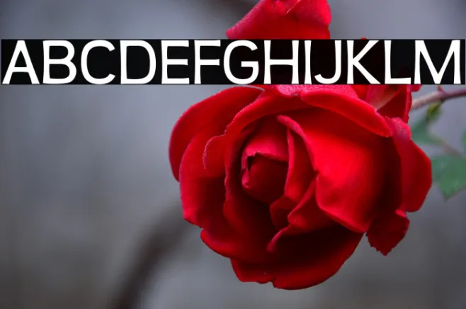 Teen-Regular Example 3