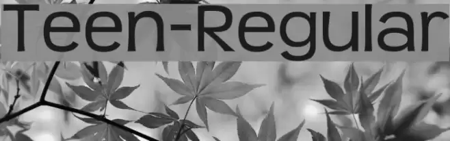 Teen-Regular Font examples