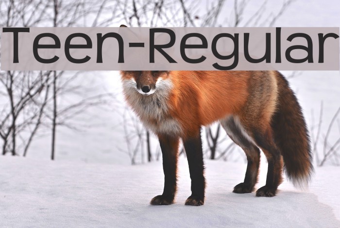 Teen-Regular Font examples