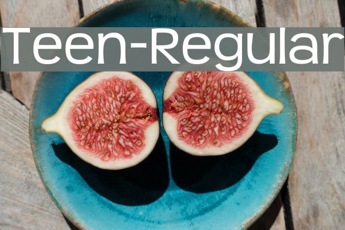 Teen-Regular Font examples