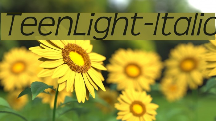 TeenLight-Italic Font examples