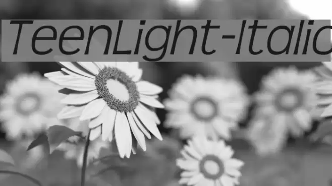 TeenLight-Italic Font examples