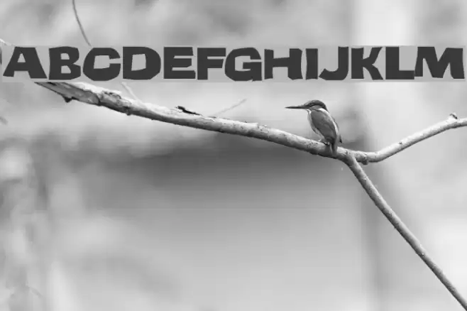 Teenage Delinquent Font examples