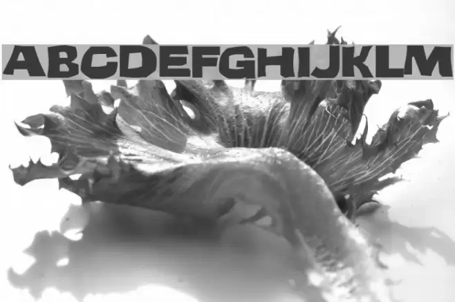 Teenage Delinquent Font examples